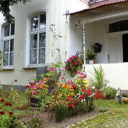 Ferienwohnung "Zur Alten Schule" Neuburxdorf Dış mekan fotoğraf