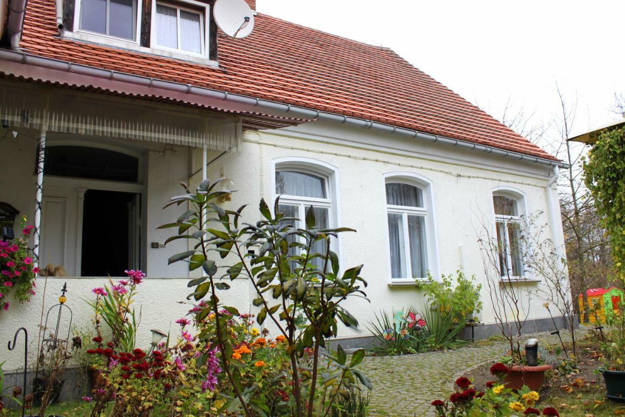 Ferienwohnung "Zur Alten Schule" Neuburxdorf Dış mekan fotoğraf