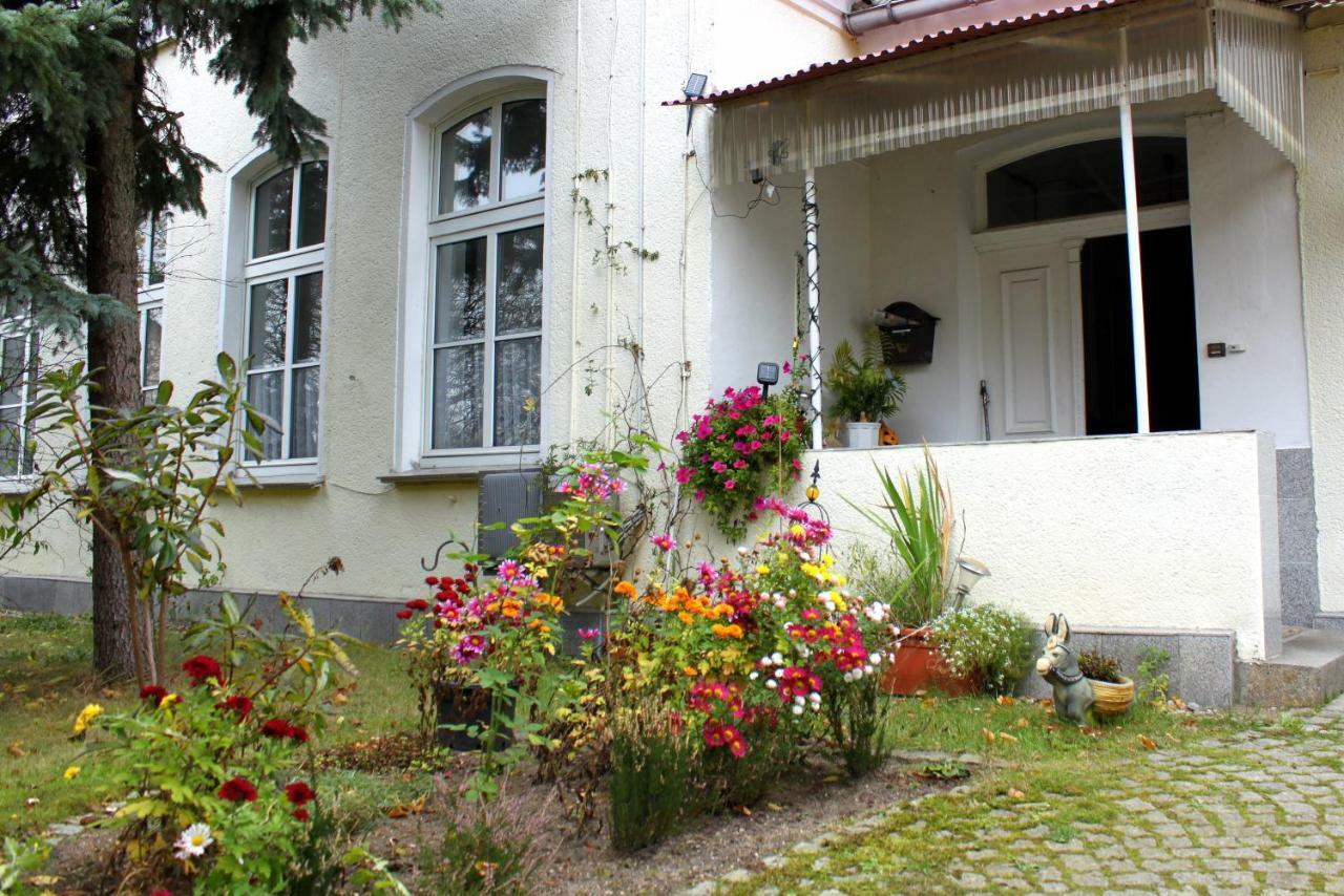 Ferienwohnung "Zur Alten Schule" Neuburxdorf Dış mekan fotoğraf